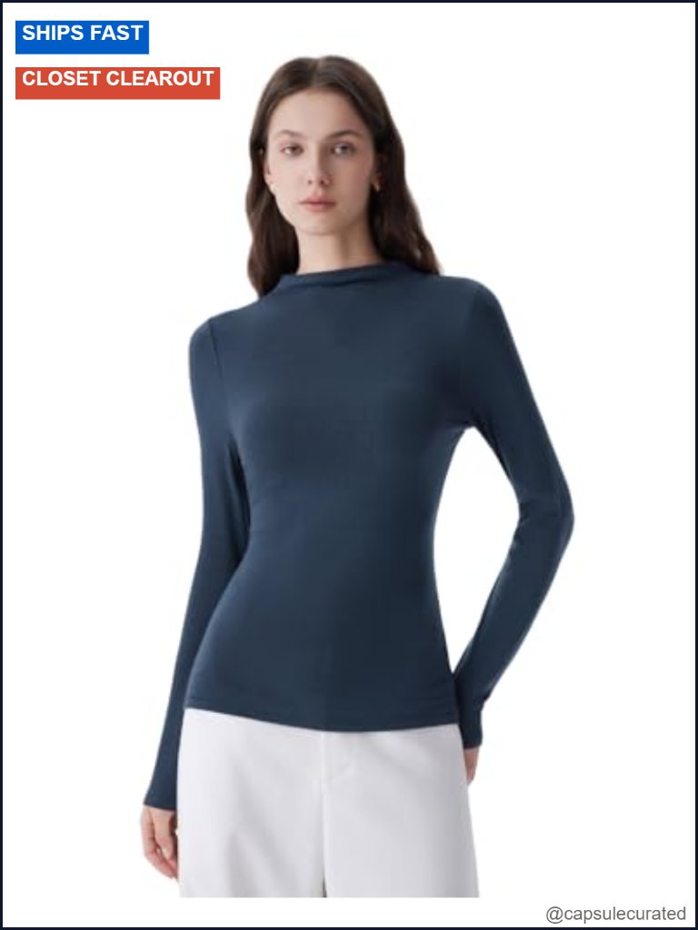 Cloud Cashmere Mock Neck Fitted Long Sleeve Knit Top